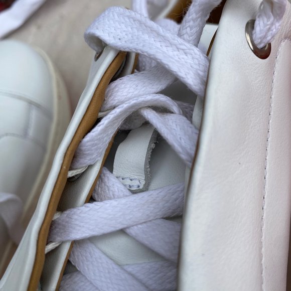 Royal Albartross - Picture 9 of 11